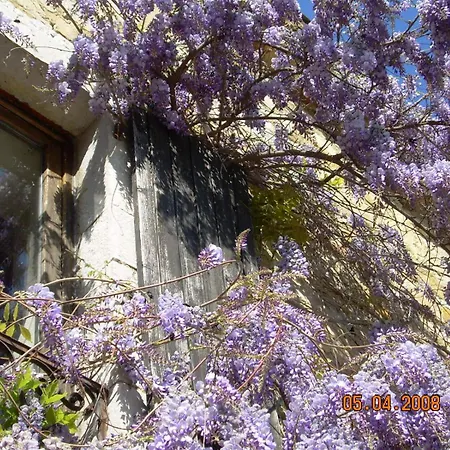 Domaine La Fontaine Du Cade Holiday home